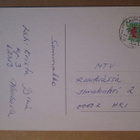 KULKENUT PIENI KISSANPENTU HEINIEN KESKELLÄ KAUHAVA 1991 - pikkukuva 2