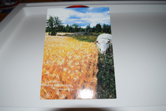 Postikortti ( A) lammas älyä tulee mutta iltajunassa