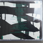 CD: The Waterboys - A Pagan Place (1984) - pikkukuva 2