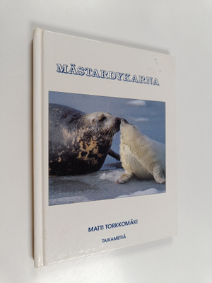 Matti Torkkomäki : Mästardykarna