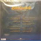 GUARDIAN - BEYOND THE RED MIRROR - PICTURE EU 2015 UUSI 2LP - pikkukuva 2