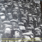 Jerry Harrison: Casual Gods (uusi) LP - pikkukuva 2