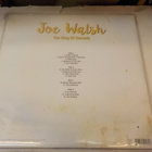 JOE WALSH - THE KING OF COMEDY M/EX+ EU 2016 2LP - pikkukuva 2