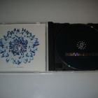 Rammstein - Herzeleid (CD) - pikkukuva 3
