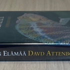 Vaihtolämpöisten elämää (2DVD) BBC:n luontodokumentti (UUSI) - pikkukuva 3