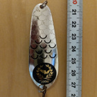 1996 vuosi uistin - pikkukuva 3