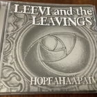 Leevi And The Leavings - Hopeahääpäivä - pikkukuva 1