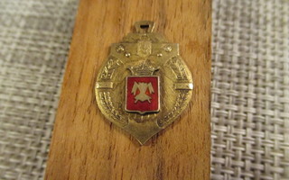 Pesäpallo nuort. mestari  A palkinto 1938 .Hopeaa 813 H.