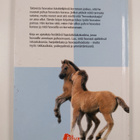 Tamara Baltzar : Kuuntele hevosta - pikkukuva 2