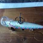 Rapala Sinking Rainbow 5cm - pikkukuva 4