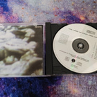 Ministry - The Land Of Rape And Honey (CD) - pikkukuva 3