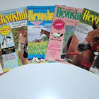 Hevoshullu lehti 1982-1987 (valikoima) - pikkukuva 4