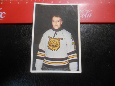 K15 Jenkki Jääkiekko-sarja  # 118 Markku Hakanen Ilves