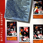 NHL HOCKEY 1997-1998 STICKER ALBUM. Katso kuvat. - pikkukuva 2