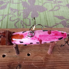 Turdus Pätäkkä 5,5cm Pink Lady  Jalokalalle - pikkukuva 4