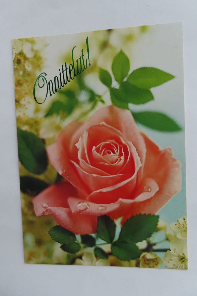 Onnittelut - Pinkki ruusu (Papron)