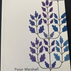 Peter Marshall: Reformaatio - pikkukuva 1