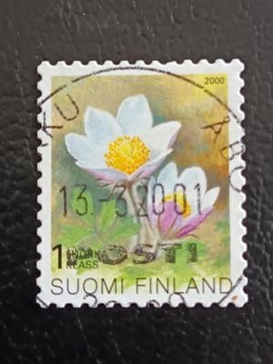 -00 Kangasvuokko Lo
