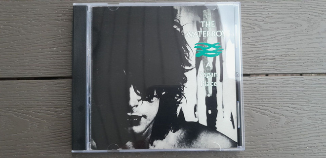 CD: The Waterboys - A Pagan Place (1984)