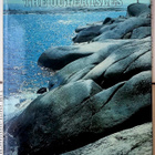 The Outer Isles: Life in the Outer Seabord of Stockholm - pikkukuva 1
