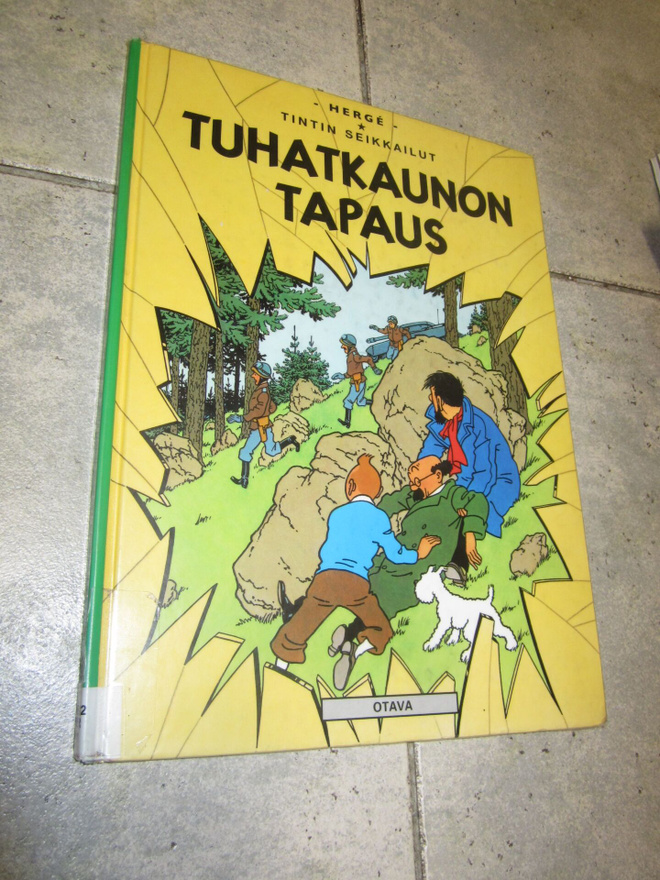 TINTTI- TUHATKAUNON TAPAUS - KOVAKANTINEN v 2007