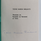 Toini Maria Railavo : Hevonen on hevonen on hevonen, ei l... - pikkukuva 2