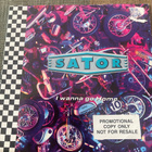 SATOR: I wanna go Home * Too much Trouble * EUR 1992 - pikkukuva 1