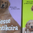Merja Jalo & Marvi Jalo: Jesse koira kirjapaketti - pikkukuva 5
