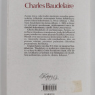 Charles Baudelaire : Pariisin ikävä - pikkukuva 2
