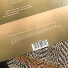 Björk Debut LP Vinyyli - pikkukuva 2