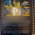 Life on Land 15DVDBOX David Attenborough - pikkukuva 2