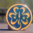 Partiomerkki Wagggs 1991. Halkaisija - 18 mm. Ehjä lukitus. - pikkukuva 2