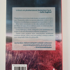 Carin Gerhardsen : Unilaulu - pikkukuva 2