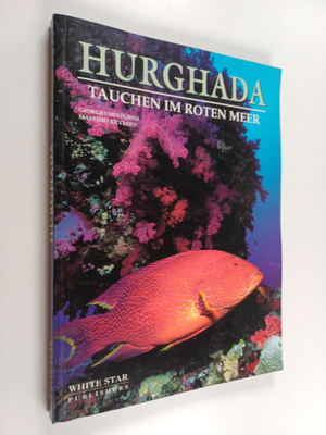 Hurghada : Tauchen im roten meer