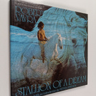 Robert Vavra : Stallion of a Dream - pikkukuva 1