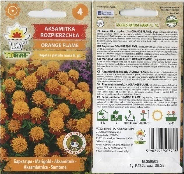 Ryhmäsamettikukka "Orange Flame" - siemenet #