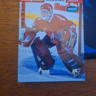 Dan Cloutier (mokke) 13kpl - pikkukuva 2