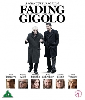 Fading Gigolo  -   (Blu-ray)