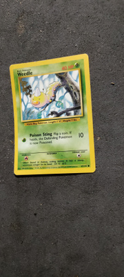 Pokemon weedle
