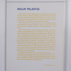 Jussi Talasniemi : Sielun pelastus : Christian Scriverin ... - pikkukuva 2