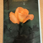 ruusu mummolle, taittokortti ja kuori, uusi - pikkukuva 1