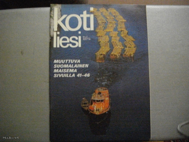 Kotiliesi Nro 11/1970 (19.3)