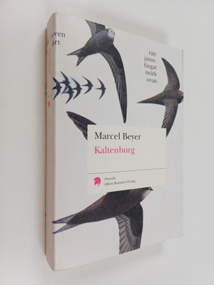 Marcel Beyer : Kaltenburg : roman