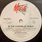 Modern Talking: In the Garden of Venus VG+ LP - pikkukuva 3