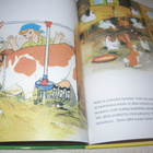 Pupu Tupunan pulma - pikkukuva 3