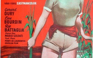 Elokuvajuliste: Nainen joelta (Sophia Loren)