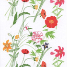 kortti ** Marimekko design Ishimoto Fujiwo - erilaisia - pikkukuva 3