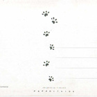 DOBERMANNI POSTIKORTTI - PAPERITAIDE - pikkukuva 2