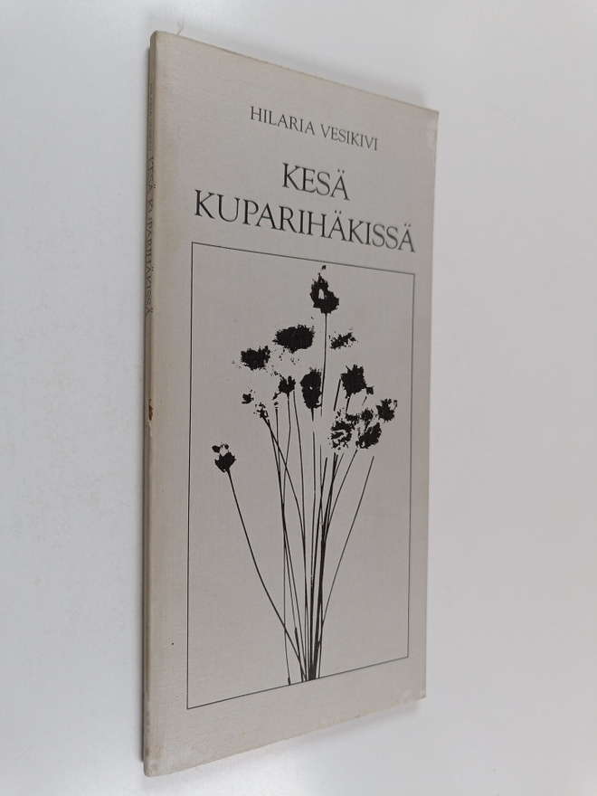 Hilaria Vesikivi : Kesä kuparihäkissä