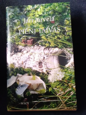Jari Järvelä: Pieni taivas